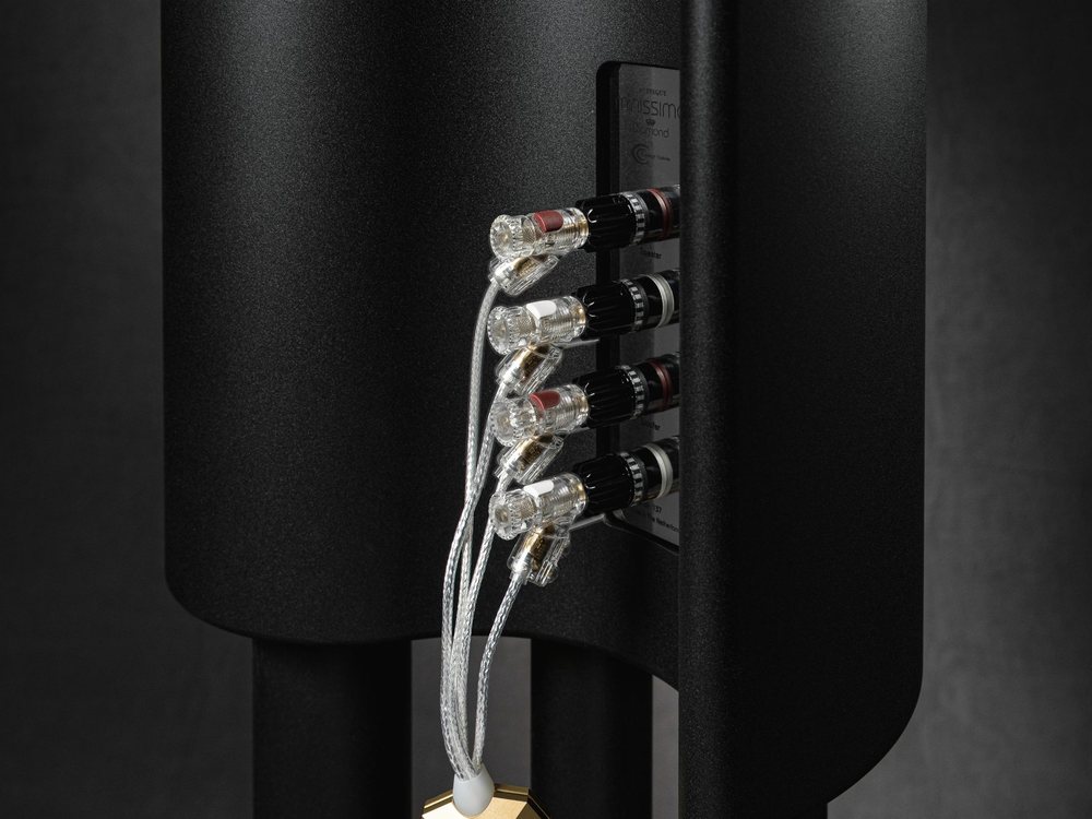 Art Series cables at the terminals of a black loudspeaker
