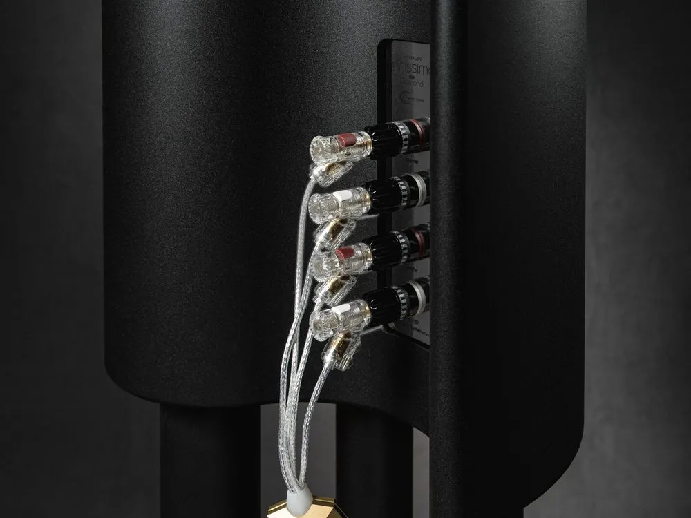 Art Series cables at the terminals of a black loudspeaker