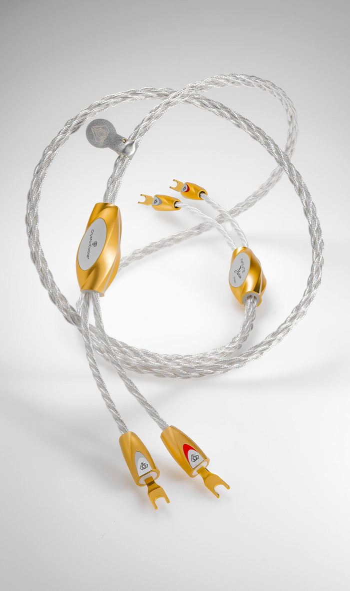 An Infinite Dream speaker cable in a loop on white, its gold spades at the front