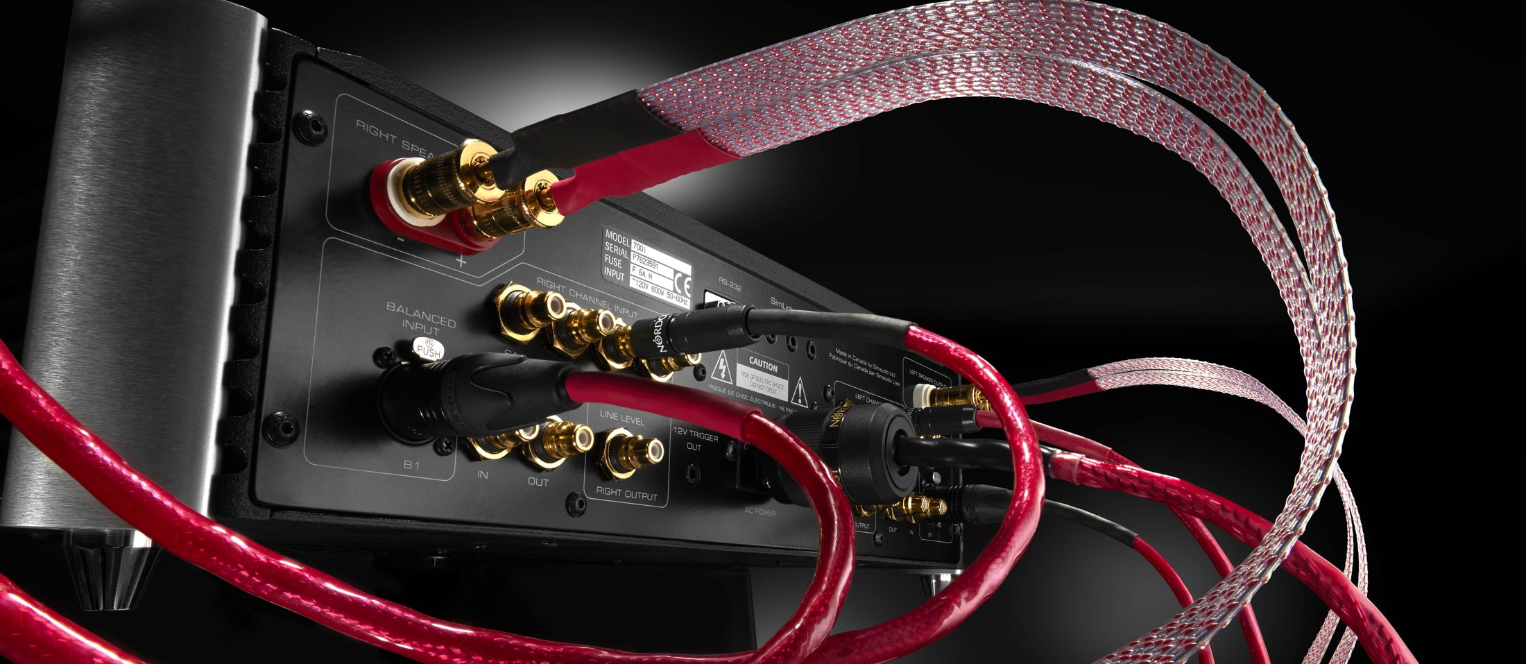 Cables connected to the back panel of an amplifier